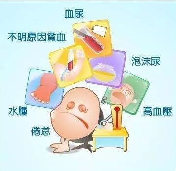 高血压肾病(图2)