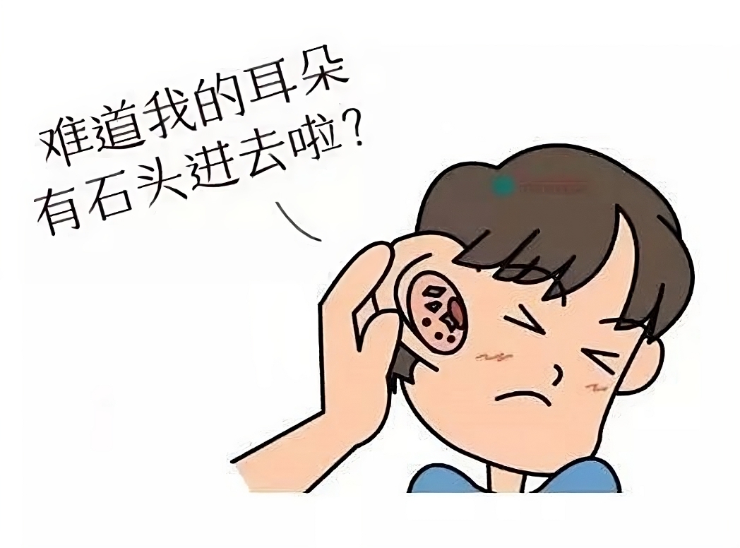 头晕目眩咋回事儿?耳朵里“石头”惹的祸(图2)