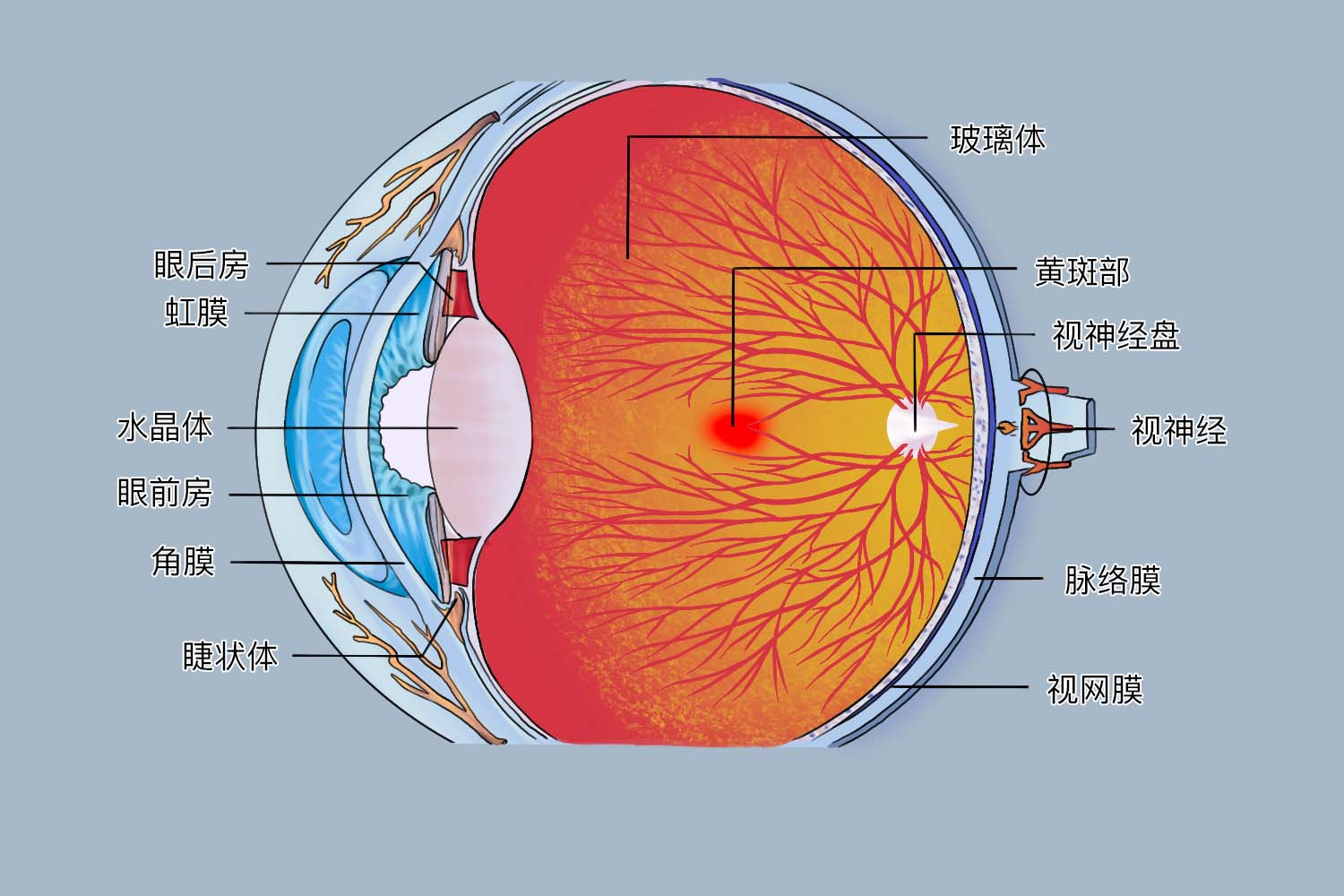 1-230Q42020452I.png 1-230Q42020452I.png