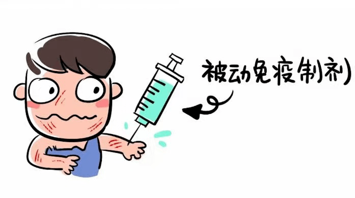 狂犬病,知多少|猫抓狗咬后我们应该怎么办(图7)