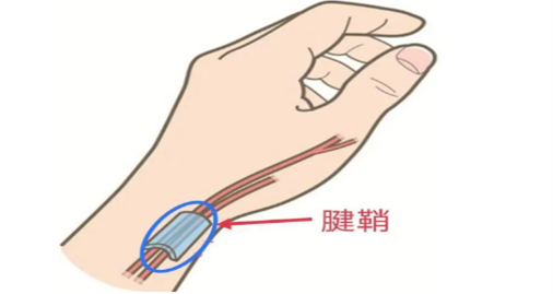 解密“妈妈手”(图1)
