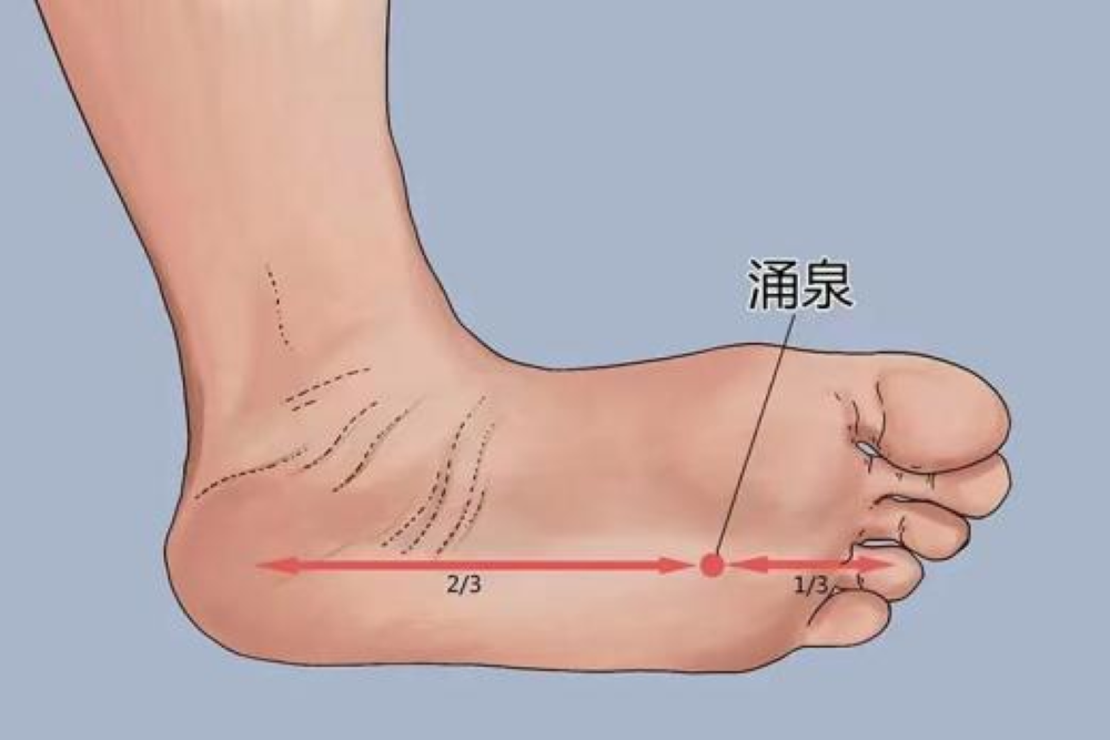 春眠不觉晓,失眠知多少?(图4) 春眠不觉晓,失眠知多少?(图4)