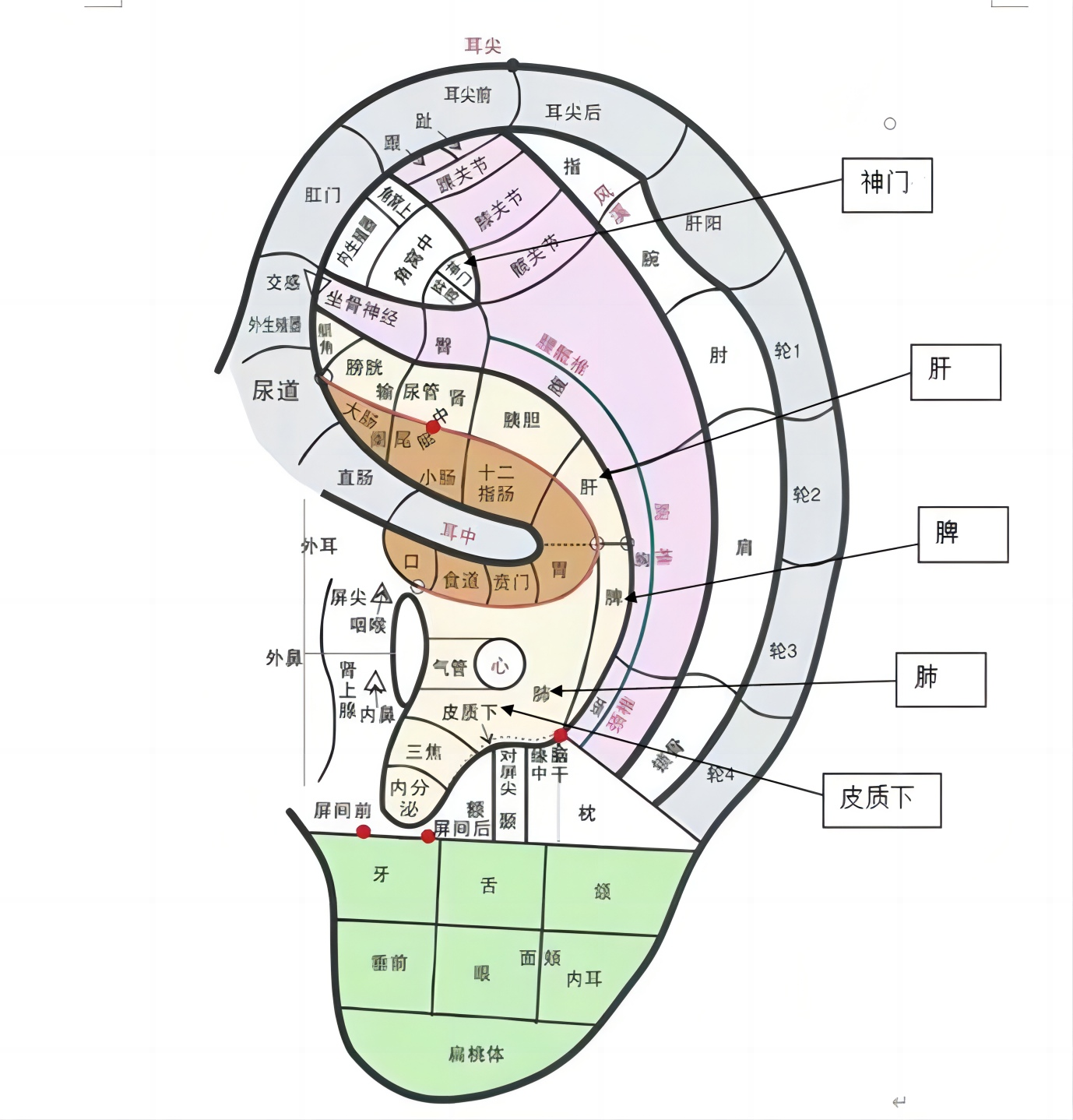 1-240415194122133.png 1-240415194122133.png