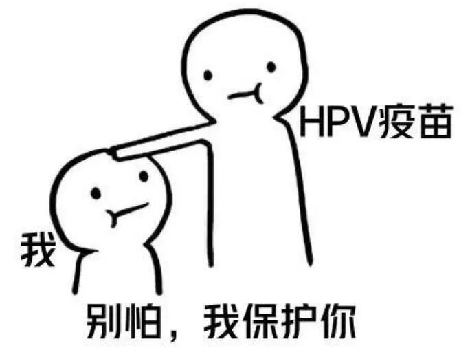 守“宫”有道 | HPV疫苗的自述(图6)