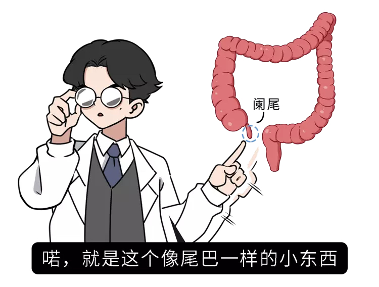 阑尾炎你还在一切了之吗?ERAT——不开刀治疗阑尾炎的新方法(图2)