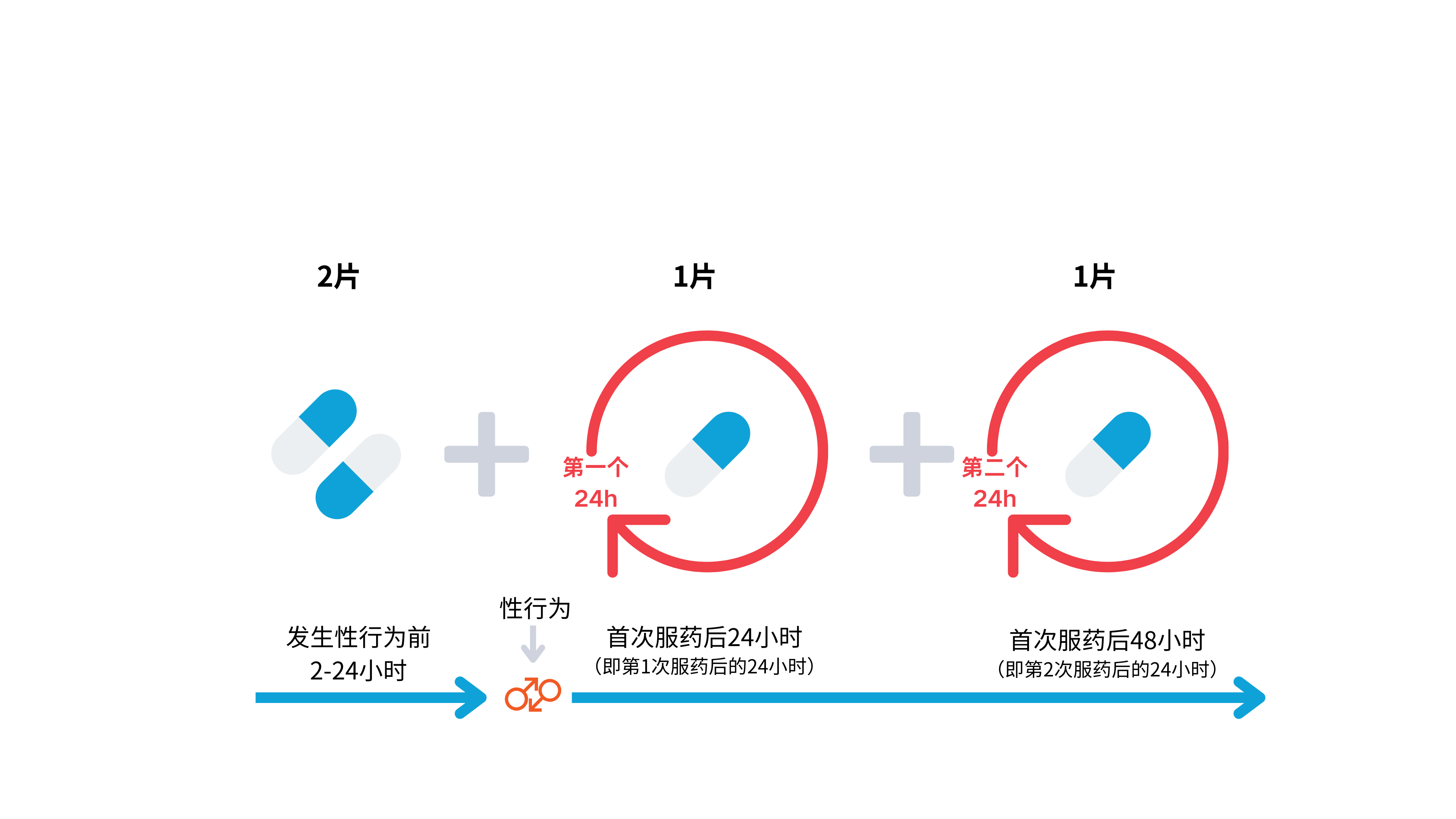 1-241202110S6442.png