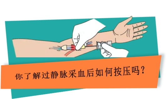 1-2501131F529621.png