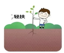 1-25050QQ645939.png