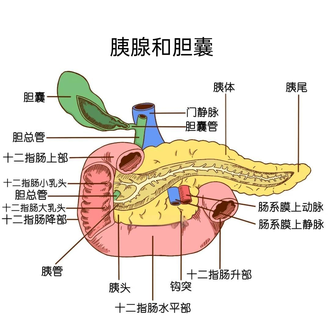 1-250625114241c5.png