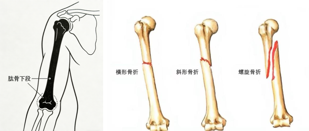 1-2603120JI0105.png
