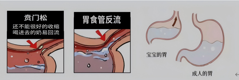 1-2605061K424613.png