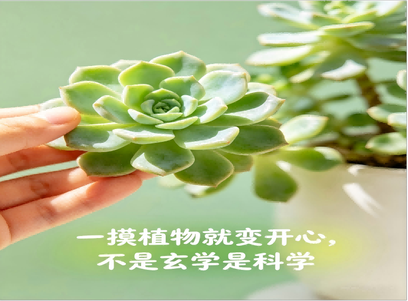1-2605061R502958.png